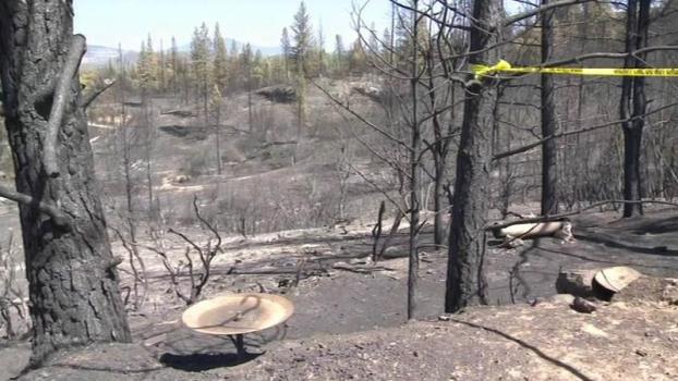 An area burned by the Butte fire in Northern California 