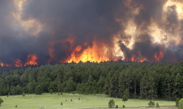 In 2015 wildfires have burned over 8 9 million acres of land in the United States 